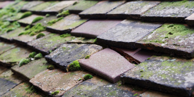 Leagrave roof repair costs